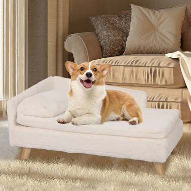 Connie dog sofa with clearance cushion